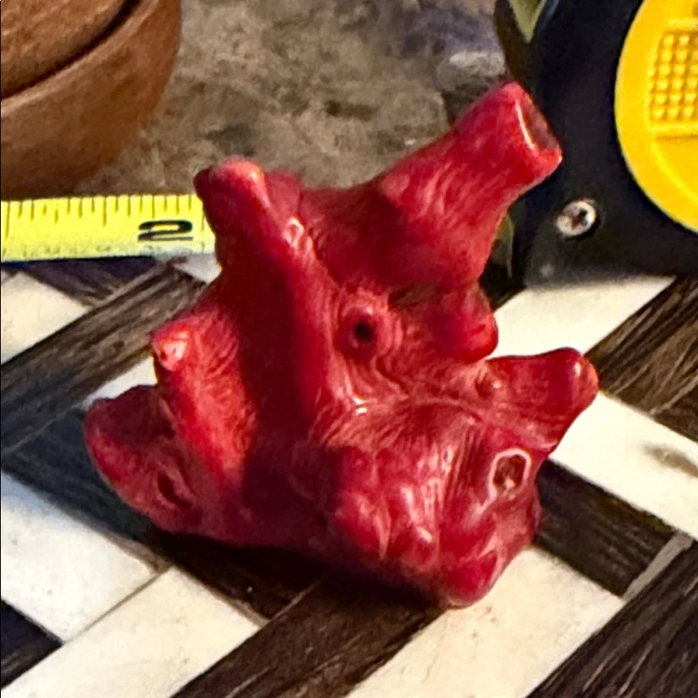 Red coral piece for Jewelry project I have had this for forty years
